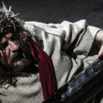 FCLM0239web