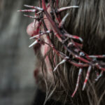 IMG_0705web